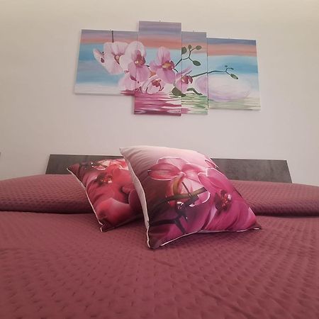 Grazia'S Home 상트아그넬로 외부 사진
