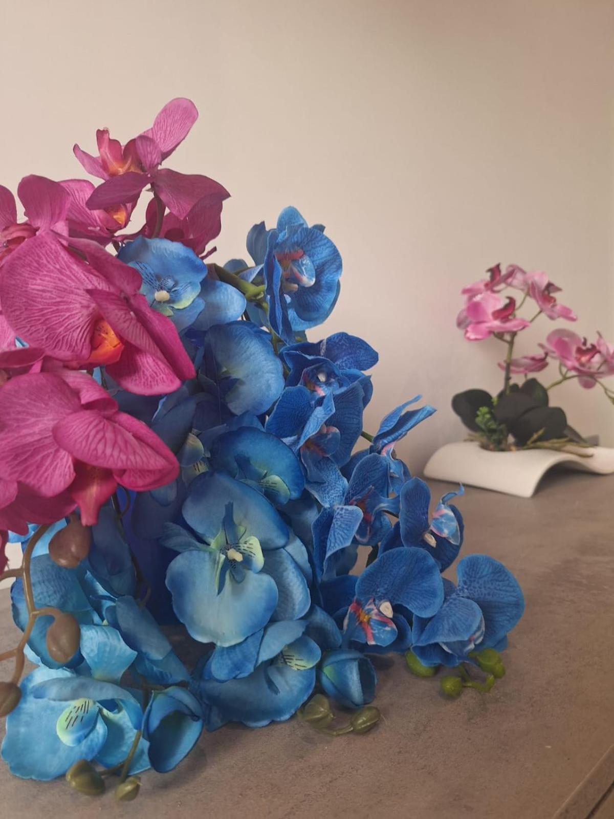 Grazia'S Home 상트아그넬로 외부 사진