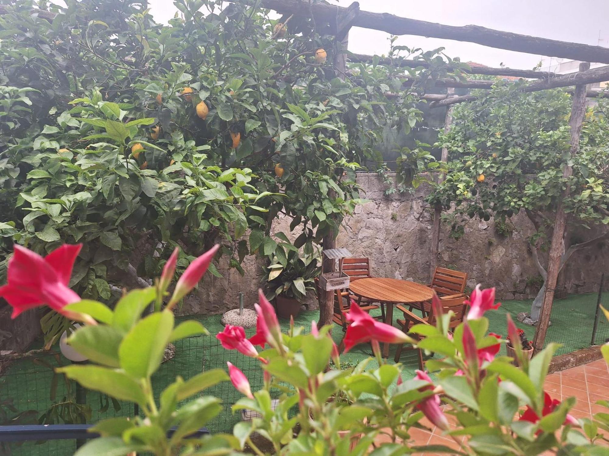 Grazia'S Home 상트아그넬로 외부 사진